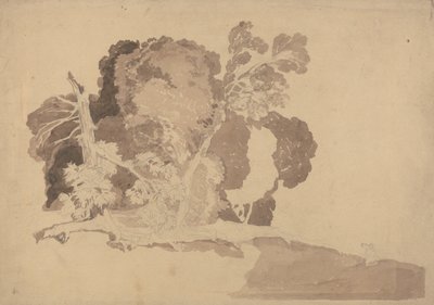 Studie von Bäumen von John Sell Cotman